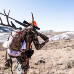 Best Scopes for 6.5 Creedmoor​